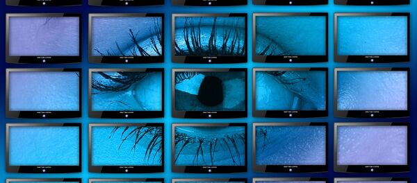 Surveillance Surveillance - Sputnik International