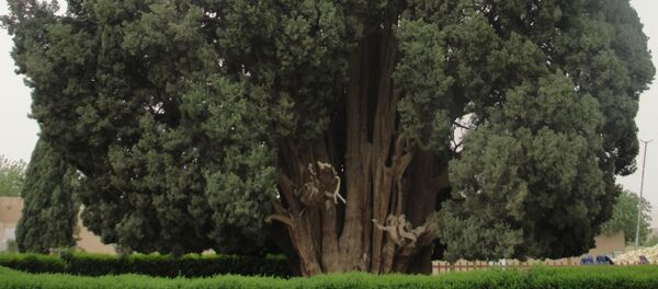 Sarv-e Abar Kuh - Sputnik International