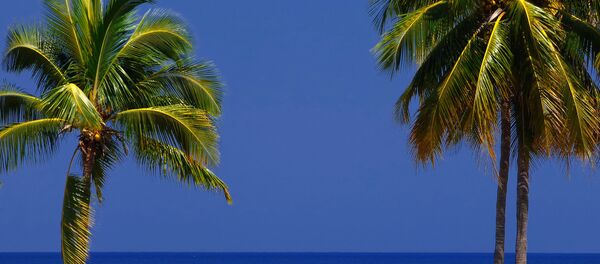 Cuba - Sputnik International