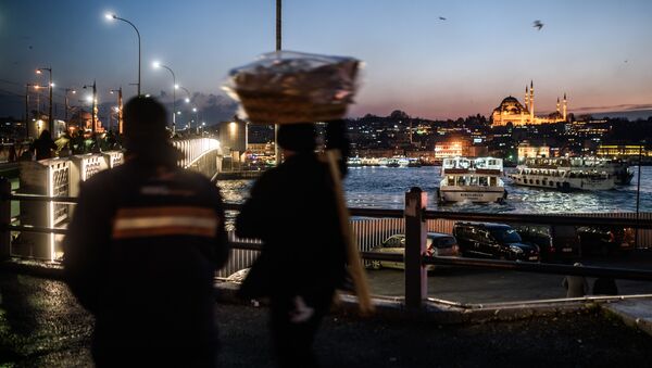 A vendor passes Galata Bridge near the illuminated Suleymaniye mosque in Istanbul on January 25, 2016 - Sputnik International