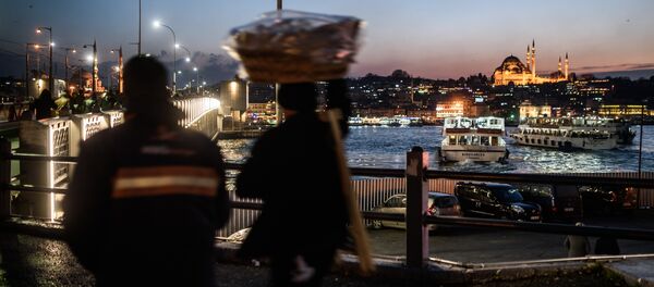 A vendor passes Galata Bridge near the illuminated Suleymaniye mosque in Istanbul on January 25, 2016 A vendor passes Galata Bridge near the illuminated Suleymaniye mosque in Istanbul on January 25, 2016 - Sputnik International