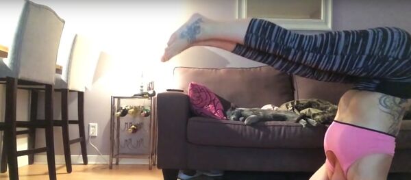 Yoga fail cats face plant - Sputnik International