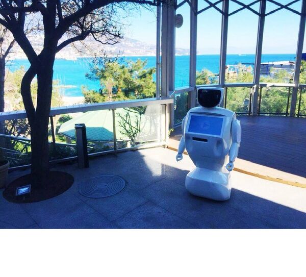 Robot Robot - Sputnik International