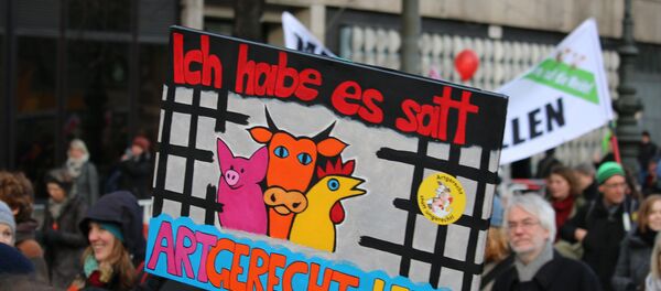 “We are fed up” anti-TTIP slogan in German “We are fed up” anti-TTIP slogan in German - Sputnik International