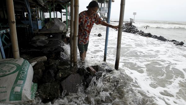 A villager walks on a stone barrier as sea water reaches her house in Mayangan village in Subang, Indonesia's West Java province, in this July 16, 2010 file photo - Sputnik International
