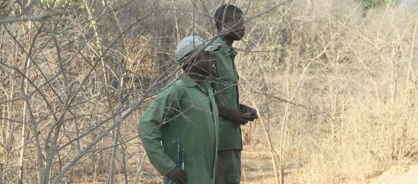 Wildlife rangers in Zimbabwe (File) Wildlife rangers in Zimbabwe (File) - Sputnik International