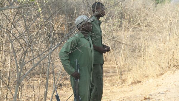 Wildlife rangers in Zimbabwe (File) - Sputnik International