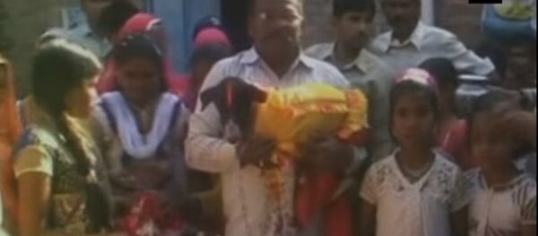 It happens only in India! A big fat dog wedding in UP with 5000 guests - Sputnik International