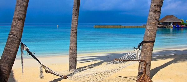 Hammock Hammock - Sputnik International