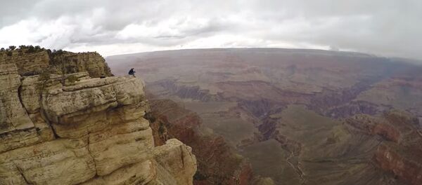 Grand Canyon Drone Selfie - Sputnik International