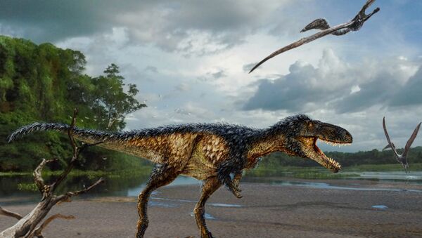 Life reconstruction of the new tyrannosaur “Timurlengia euotica” in its environment 90 million years ago. - Sputnik International