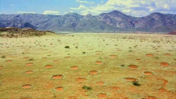 Fairy circles in Namibia's Marienfluss valley - Sputnik International