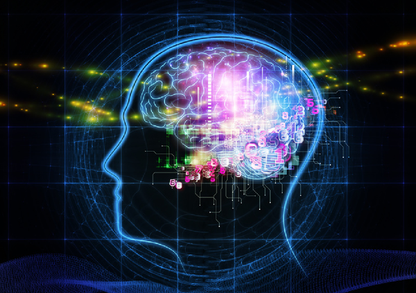 Exercise Plays Vital Role Maintaining Brain Health Exercise Plays Vital Role Maintaining Brain Health - Sputnik International