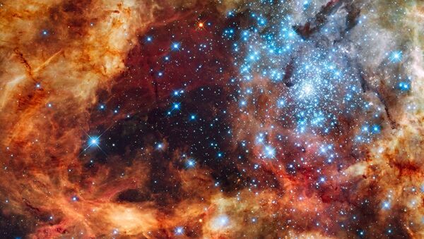 A young stellar grouping, called R136, is only a few million years old and resides in the 30 Doradus Nebula. - Sputnik International