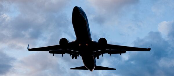 Boeing 737-800 Boeing 737-800 - Sputnik International