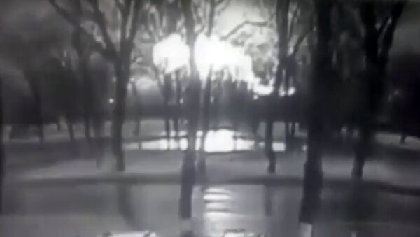 This frame grab provided by Rostov-on-Don I General company from black and white CCTV footage shows road and behind line of trees fireball, believed to be a plane on fire, crashes to ground at the Rostov-on-Don airport, about 950 kilometers (600 miles) south of Moscow, Russia Saturday, March 19, 2016. - Sputnik International