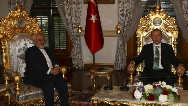 Turkey's President Tayyip Erdogan meets with Iran's Foreign Minister Mohammad Javad Zarif in Istanbul, Turkey March 19, 2016 - Sputnik International