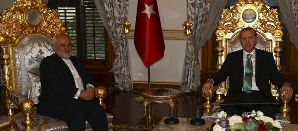 Turkey's President Tayyip Erdogan meets with Iran's Foreign Minister Mohammad Javad Zarif in Istanbul, Turkey March 19, 2016 - Sputnik International
