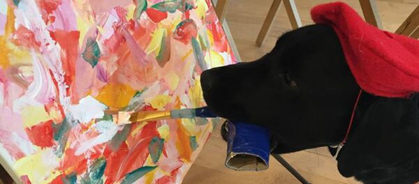 Painting Dog Painting Dog - Sputnik International