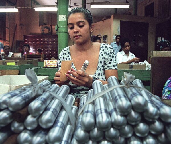 Cuban La Corona cigar factory fits cigars known as Punch, into aluminum casings as they are prepared for exportation in Havana (File) Cuban La Corona cigar factory fits cigars known as Punch, into aluminum casings as they are prepared for exportation in Havana (File) - Sputnik International