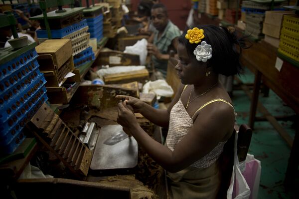 A tobacco worker roll cigars at the Corona cigar factory in Havana, Cuba, Thursday, Feb. 26, 2015 A tobacco worker roll cigars at the Corona cigar factory in Havana, Cuba, Thursday, Feb. 26, 2015 - Sputnik International