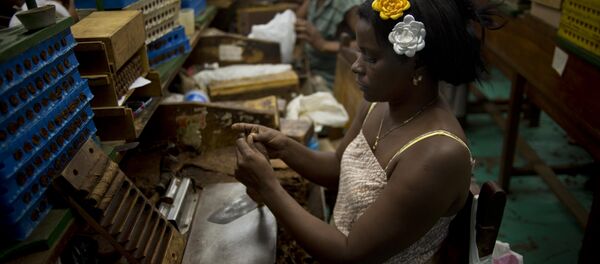 A tobacco worker roll cigars at the Corona cigar factory in Havana, Cuba, Thursday, Feb. 26, 2015 - Sputnik International