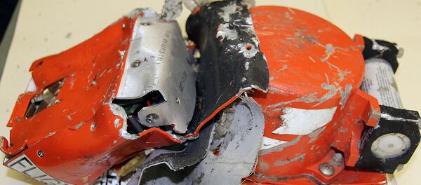 The flight data recorders of the FlyDubai Boeing 737-800 A6-FDN, which crashed at Rostov-on-Don Airport, delivered to the Interstate Aviation Committee The flight data recorders of the FlyDubai Boeing 737-800 A6-FDN, which crashed at Rostov-on-Don Airport, delivered to the Interstate Aviation Committee - Sputnik International