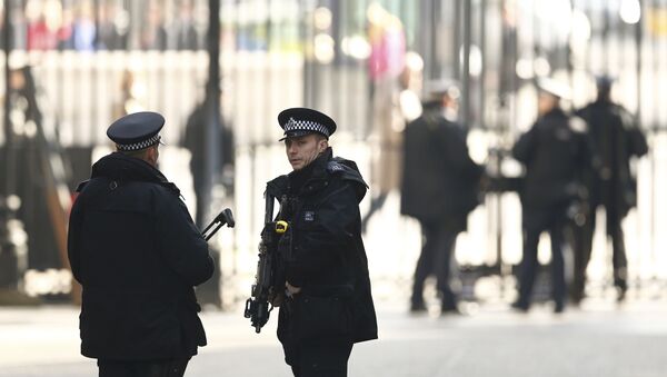 Armed police stand on guard at Downing Street in London, Britain March 22, 2016. Britain's Prime Minister David Cameron said he would chair a crisis response meeting following explosions in Brussels on Tuesday. - Sputnik International