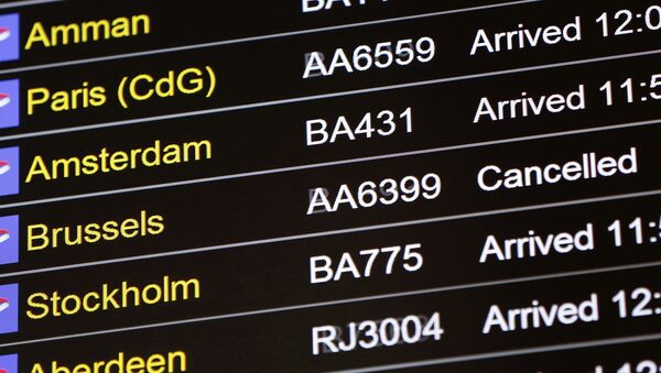 An arrivals board displays a cancelled flights. - Sputnik International
