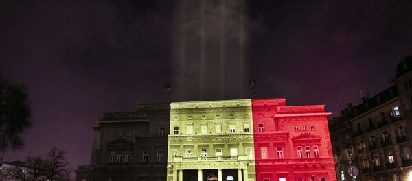 Belgrade's Town Council building Belgrade's Town Council building - Sputnik International