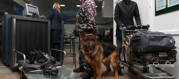 Police tighten security at Kazan airport in Tatarstan Police tighten security at Kazan airport in Tatarstan - Sputnik International