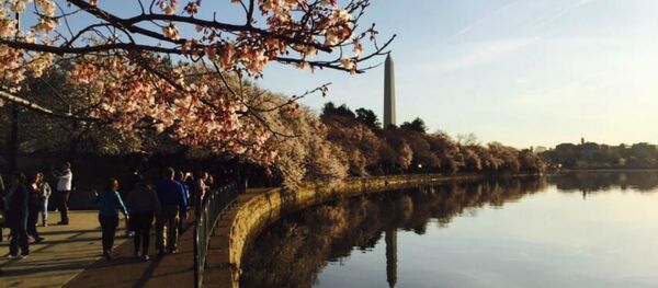 The Washington Monument - Sputnik International