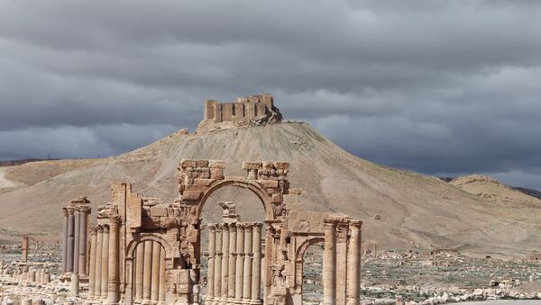 View of the ancient oasis city of Palmyra - Sputnik International