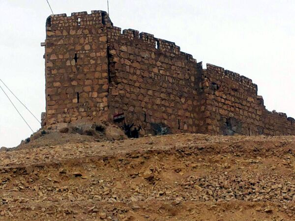 Liberation of Palmyra: Daesh Decimated, Peace Restored, Raqqa in Sight - Sputnik International