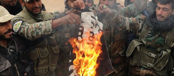 Syrian government army and militia fight for Palmyra - Sputnik International