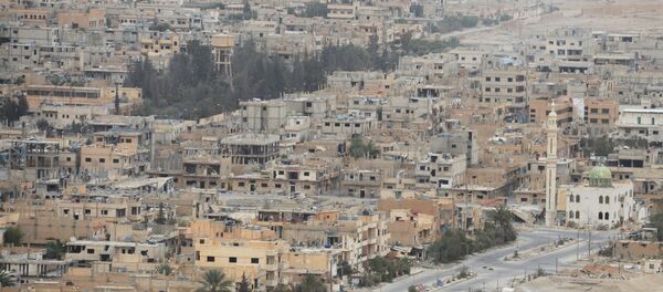 Syrian government army and militia fight for Palmyra - Sputnik International