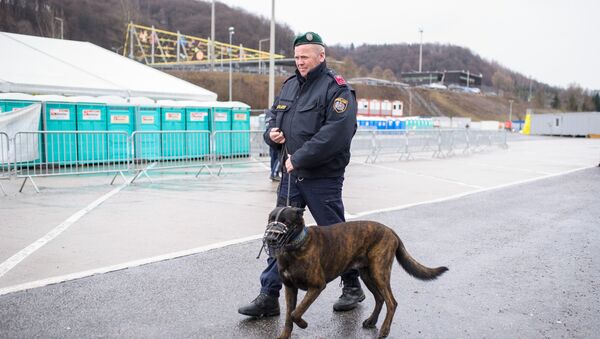 An Austrian police officer patrols with a dog at an refugee centre in Spielfeld at the Austrian-Slovenian border as Austria imposes a new daily migrant limit on February 19, 2016. - Sputnik International