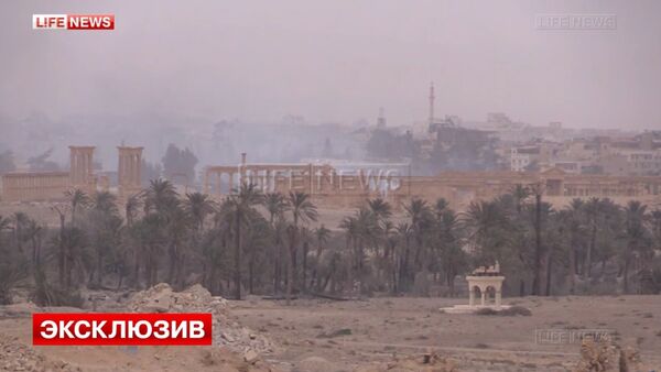 Views of Syria' liberated Palmyra - Sputnik International