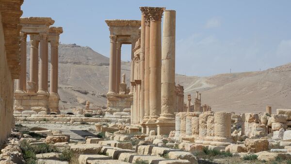 Historic site in Palmyra destroyed in military operations - Sputnik International