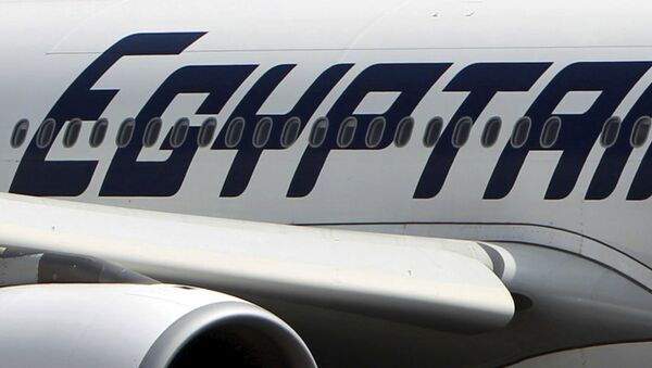 An EgyptAir plane is seen on the runway at Cairo Airport, Egypt in this September 5, 2013 file photo - Sputnik International