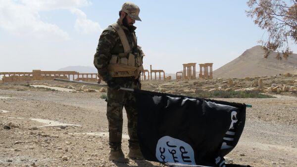 A Syrian Army soldier carries a Daesh flag as he stands on a street in the ancient city of Palmyra on March 27, 2016 - Sputnik International