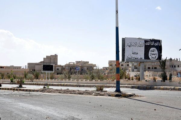 A billboard (R) belonging to the Islamic State fighters erected along a road, is pictured after forces loyal to Syria's President Bashar al-Assad recaptured Palmyra city, in Homs Governorate in this handout picture provided by SANA on March 27, 2016 A billboard (R) belonging to the Islamic State fighters erected along a road, is pictured after forces loyal to Syria's President Bashar al-Assad recaptured Palmyra city, in Homs Governorate in this handout picture provided by SANA on March 27, 2016 - Sputnik International