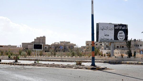 A billboard (R) belonging to the Islamic State fighters erected along a road, is pictured after forces loyal to Syria's President Bashar al-Assad recaptured Palmyra city, in Homs Governorate in this handout picture provided by SANA on March 27, 2016 - Sputnik International