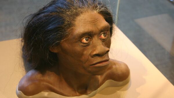 Homo floresiensis - Sputnik International