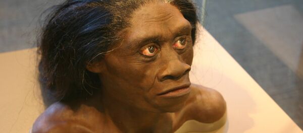 Homo floresiensis Homo floresiensis - Sputnik International