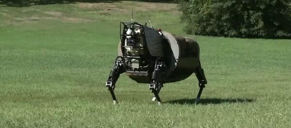 A US biomorphic robot A US biomorphic robot - Sputnik International