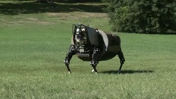 A US biomorphic robot - Sputnik International