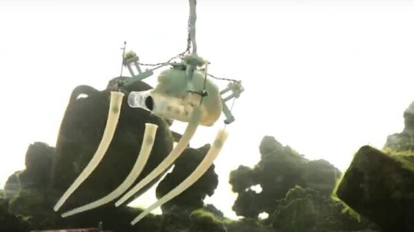 The Italian biomorphic robot Poseidon  - Sputnik International