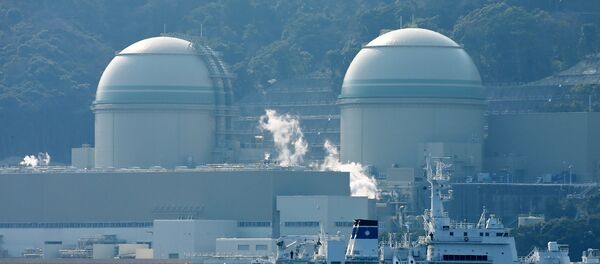 Kansai Electric Power's number 3 (L) and number 4 (R) reactors at the Takahama nuclear plant in western Japan's Fukui prefecture. Kansai Electric Power's number 3 (L) and number 4 (R) reactors at the Takahama nuclear plant in western Japan's Fukui prefecture. - Sputnik International