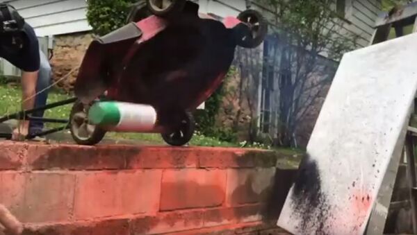 Spray paint can and a lawnmower - Sputnik International